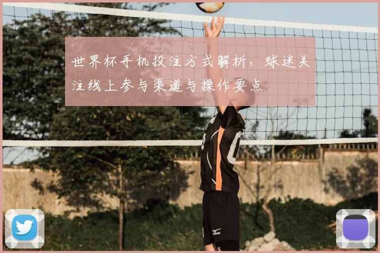 世界杯手机投注方式解析，球迷关注线上参与渠道与操作要点
