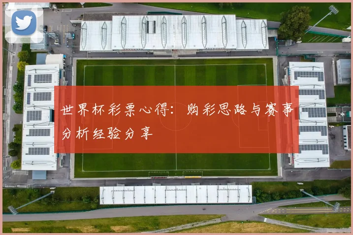 世界杯彩票心得：购彩思路与赛事分析经验分享