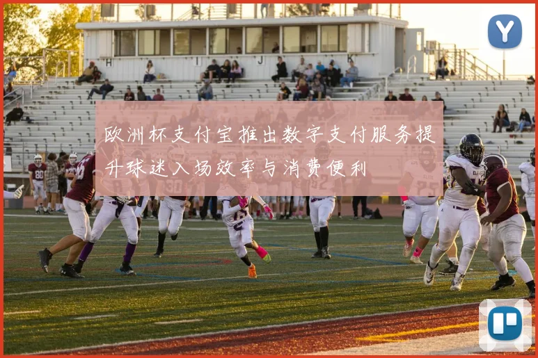欧洲杯支付宝推出数字支付服务提升球迷入场效率与消费便利