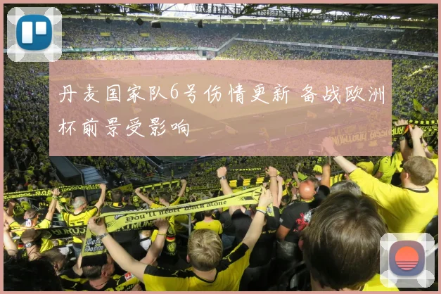 丹麦国家队6号伤情更新 备战欧洲杯前景受影响